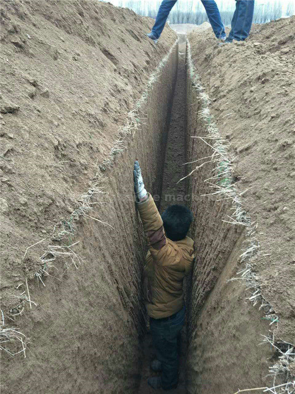 chain trencher (2)